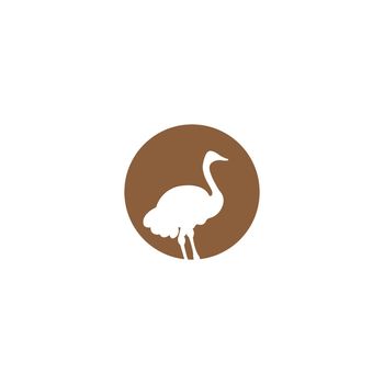ostrich icon 