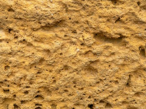 The rock surface is made of yellow sandstone