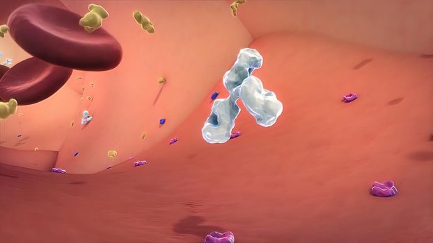 3D Medical of the intravenous passage of blood cells