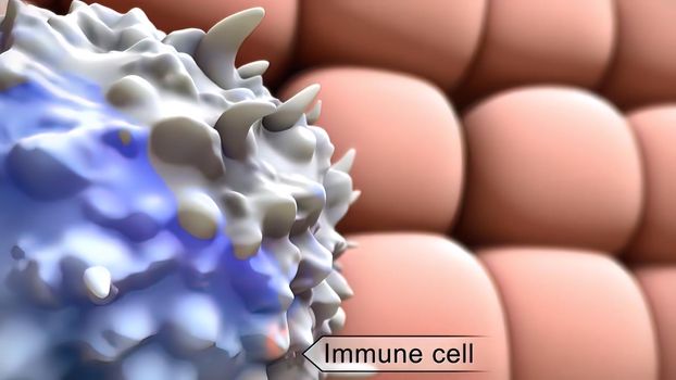Human immune system virus 3d