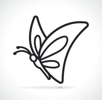 butterfly thin line icon isolated
