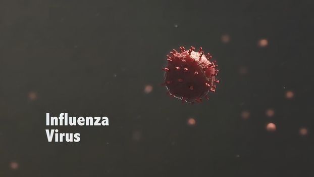 Influenza Virus Cells Looping 