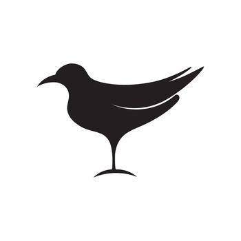 Seagull icon template vector design