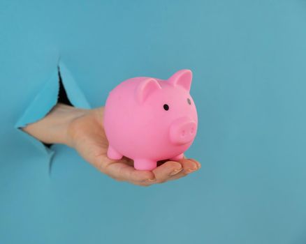 A female hand sticking out of a hole from a blue background holds a pink piggy bank.