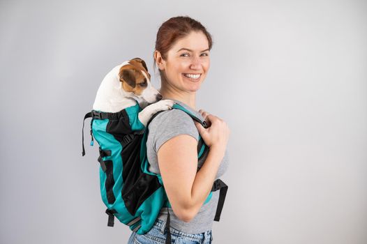 Caucasian woman carries jack russell terrier dog in her backpack.