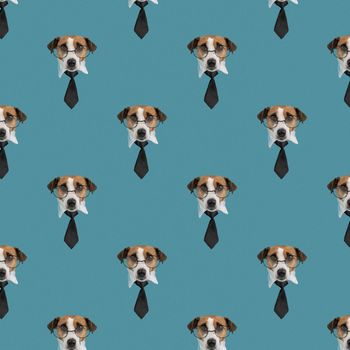 Muzzle of a Jack Russell Terrier dog with glasses and a tie on a blue background. Isolate. Seamless pattern.
