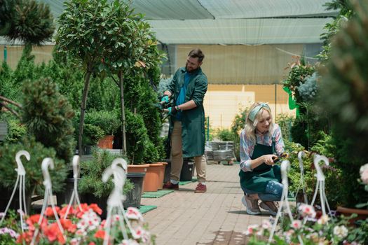 Gardeners work in modern nursery plant store in greenhouse
