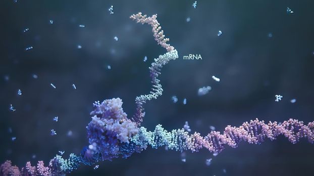 3d render illustration of Single strand ribonucleic acid. RNA research and therapy