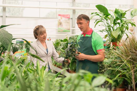 Gardener man advising woman during buyingflowers in garden center