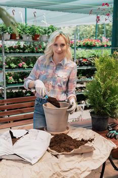 Woman planting a bush in flower pot using dirt in garden center