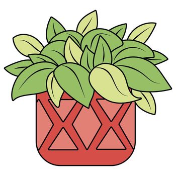 Green plant with dense foliage in the pink pot