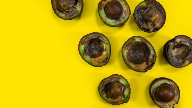 Ugly food on yellow background. Rotten tropical Avocado fruits.