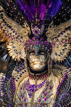 Venice carnival 2020