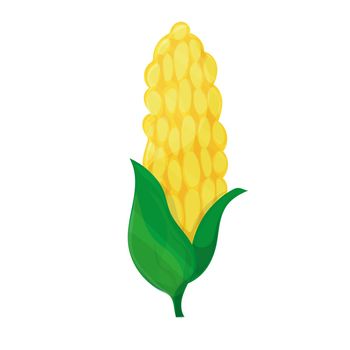 Corn vector on white background. Cute cartoon image. The concept of harvesting