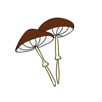 Cute mushroom in doodle style. Poisonous mushroom, toadstool. Vector