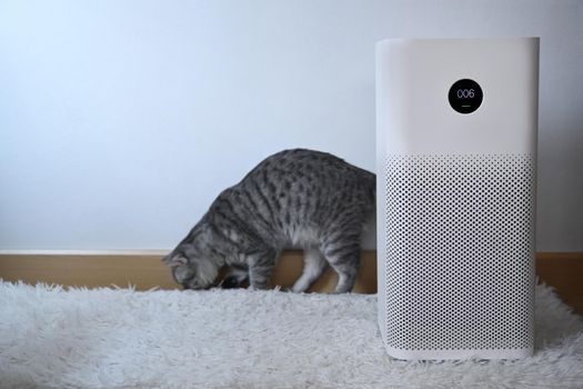 Air purifier with filter and lovely cat in living room. Air Pollution Concept.