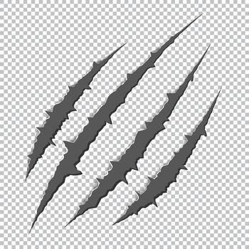 Illustration of claw scratches isolated on transparent background. Traces of scratches of the claws of a wild predator