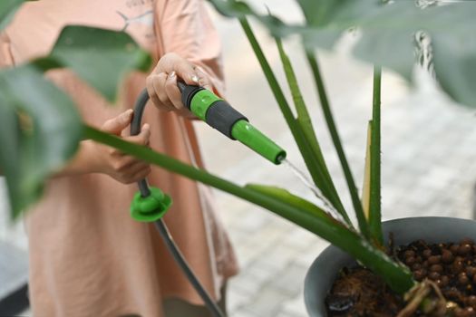 Cropped shot female hand watering the plants and flowers with hose. Gardening, hobby, domestic life concept.