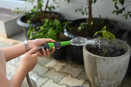 Female hand watering plants with garden hose. Gardening, hobby, domestic life concept.