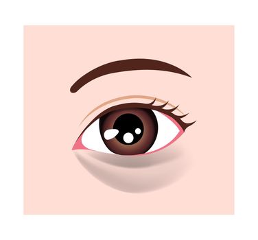 Dark circles under eyes vector illustration ( black circles )