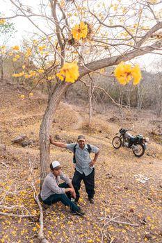 Peasant father and son under a Cortez tree with yellow flowers and a motorcycle next to them