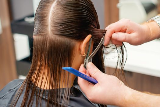 Hairdresser combs hair of young woman