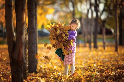 Little cute girl 6 years old with a huge bouquet of yellow autumn maple leaves in the autumn city park