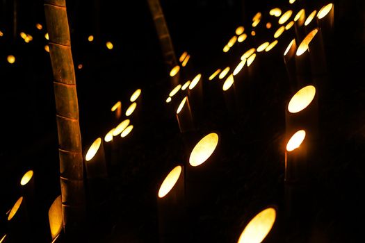 Bamboo Light Up (Koishi Castle Citizen Forest)