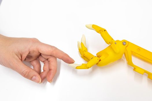 Woman's hand and a plastic hand prosthesis for a child on a white background.