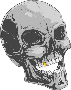 Human skull with gold tooth