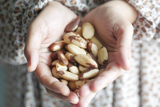 close up of Brazilian nut on women hand