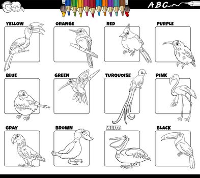 basic colors with birds animal characters set coloring page