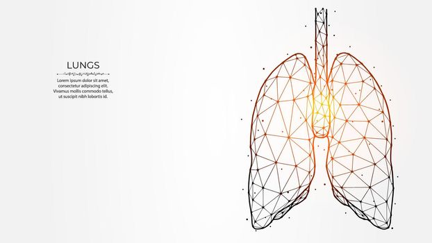 Abstraction polygonal vector illustration of human lungs on a light background. Human respiratory organs low poly design. Medical banner, template or background.