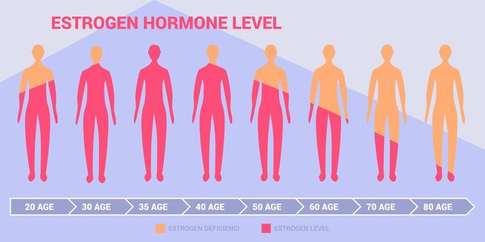 Estrogen harmone level Diagram with women or men body silhouette and age data
