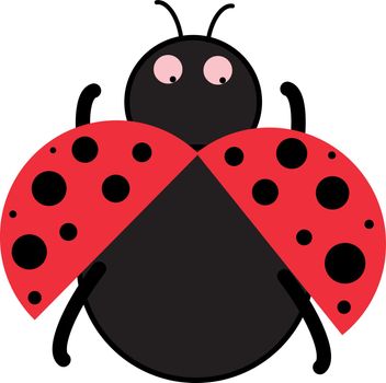 simple vector illustration of ladybug