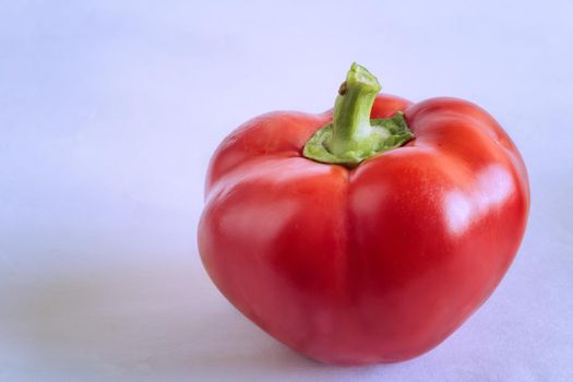 One red pepper on a light background.