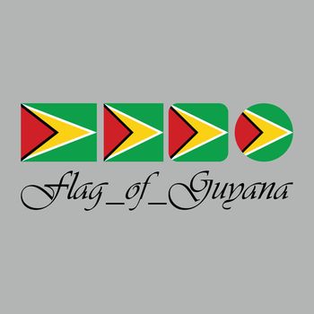 Flag of Guyana nation design artwork