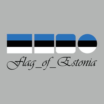 Flag of Estonia nation design artwork