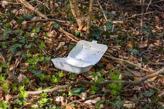 A menu tray for take-away dishes was disposed of in nature