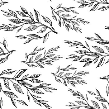 Seamless pattern botanicalvector illustration
