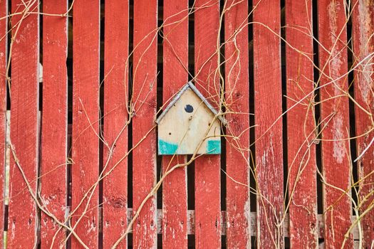 Small birdhouse on faded red barnwood boards with vines