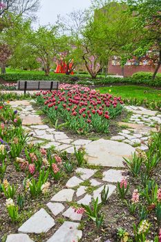 Stone walking path through spring tulip gardens in downtown park