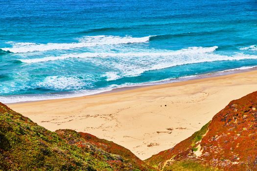 Notch of sandy beaches surrounded by ocean waves and hills of spring plants