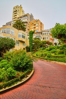 Red brick road uphill on Lombard Street next to homes