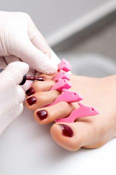 Manicure master is painting female toenails