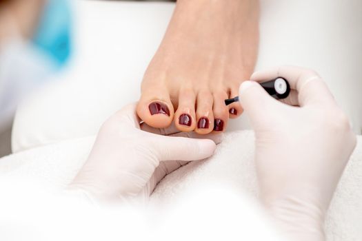 Manicure master is painting female toenails