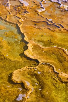Texture up close of hot spring terraces in Yellowstone