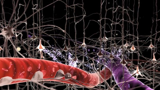 Neuron and synapses medical illustration.