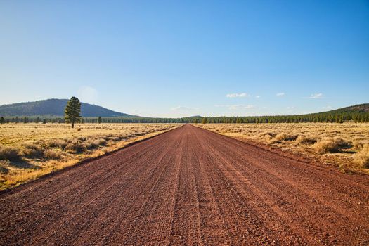 Red dirt road in desert landscape leading straight into the horizon