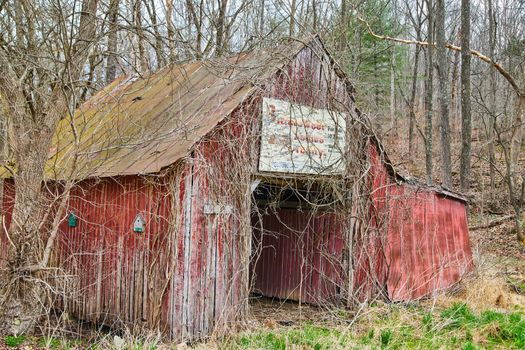 Red barn in late winter with peeling paint in midwest